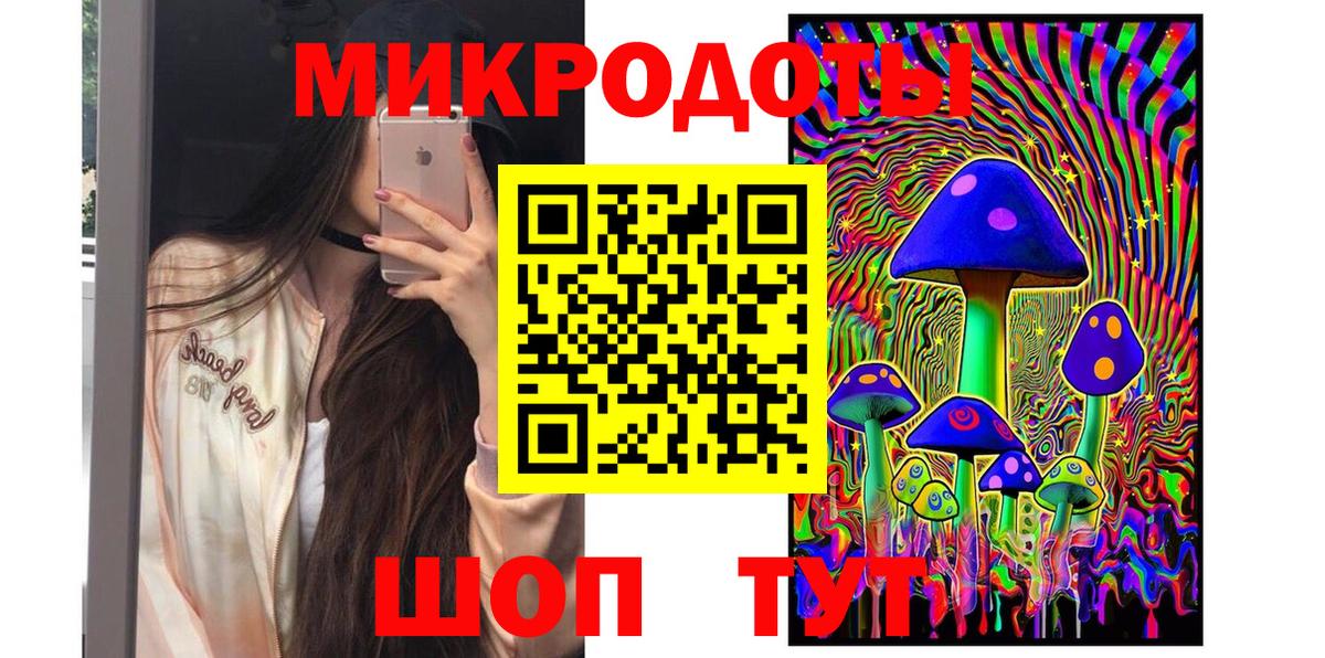 Галлюциногенные грибы Psilocybe Нарткала