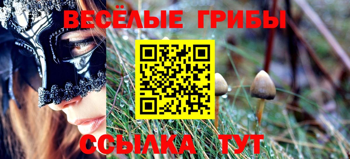 Галлюциногенные грибы Psilocybe  Вход с VPN  Нарткала  Псилоцибиновые грибы Magic Shrooms 